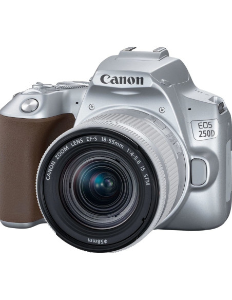 EOS 250D + EF-S 18-55mm f/4-5.6 IS STM Argento